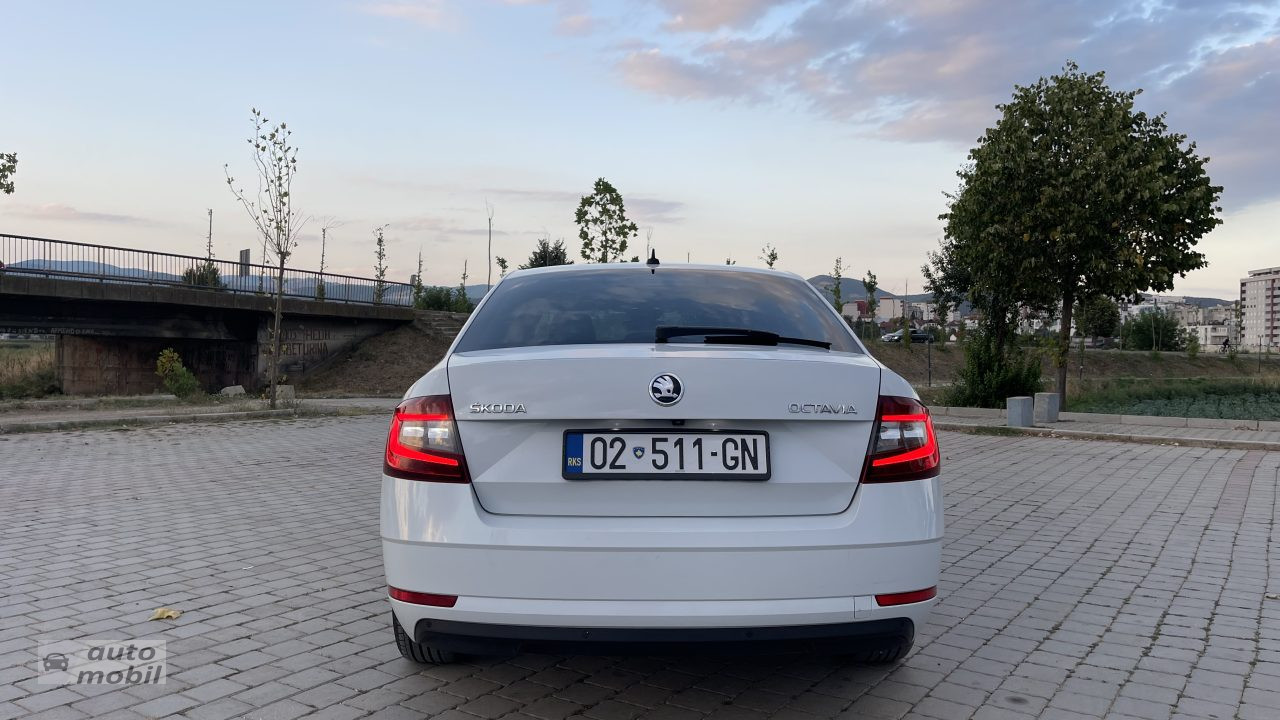 Shes SKODA Octavia