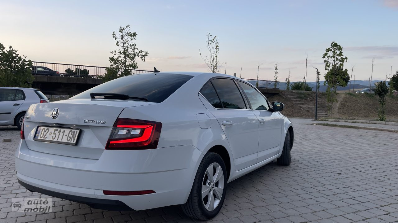 Shes SKODA Octavia