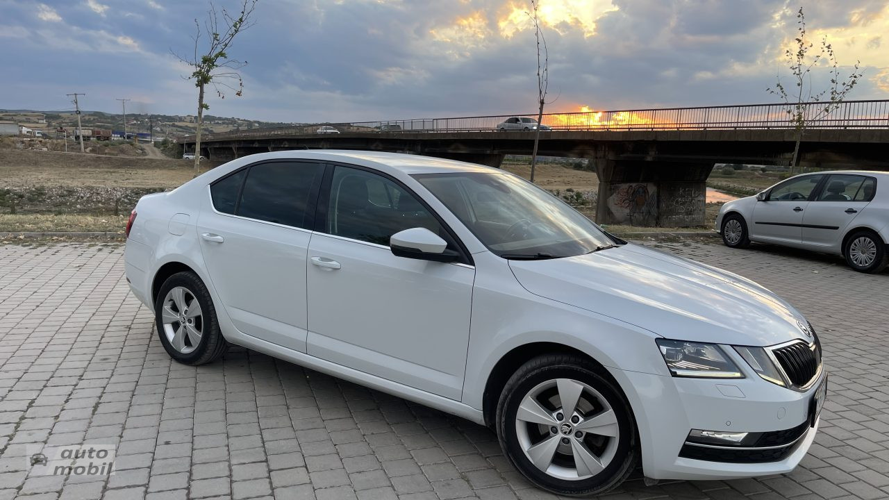 Shes SKODA Octavia