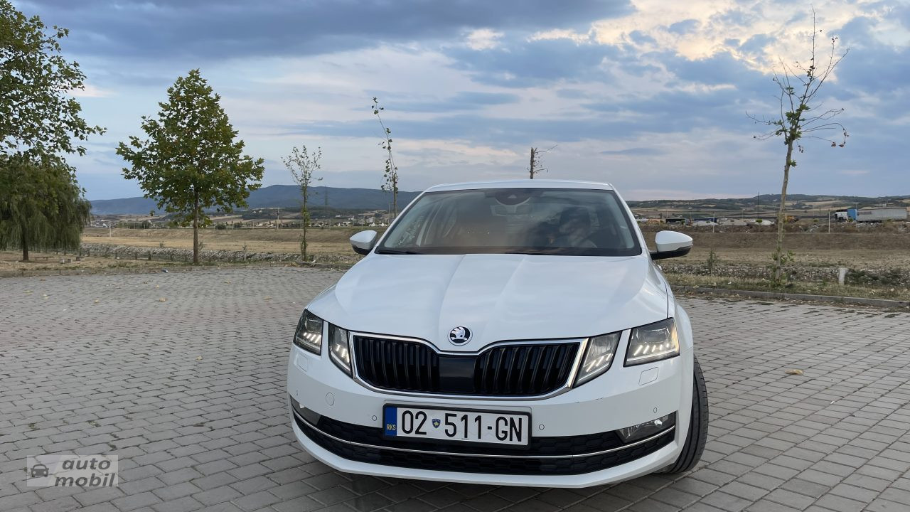 Shes SKODA Octavia