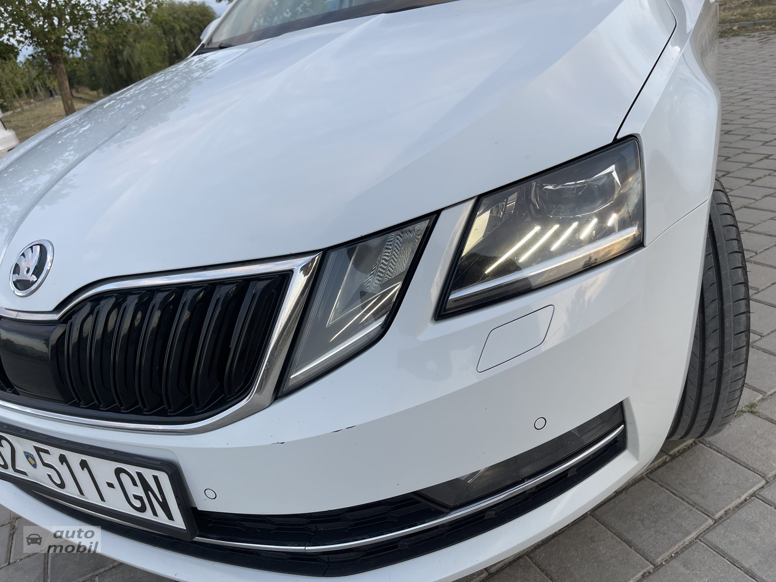 Shes SKODA Octavia